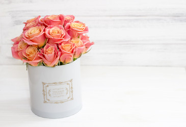 Similar image 20054687