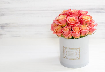 Similar image 20054688