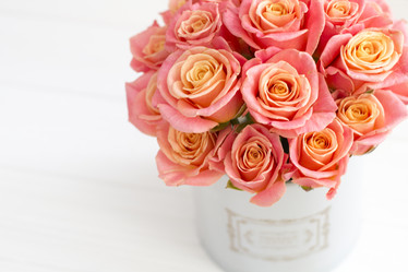 Similar image 20054691