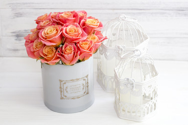 Similar image 20054695