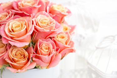 Similar image 20054708