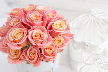 Similar image 20054711