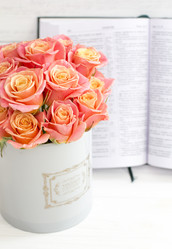 Similar image 20054715