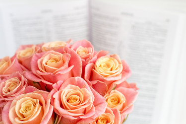 Similar image 20054716