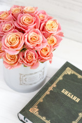 Similar image 20054721