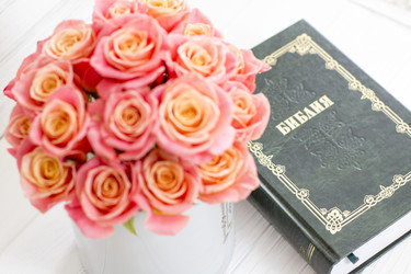 Similar image 20054723