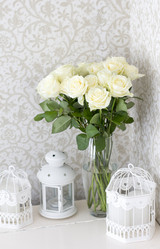 Similar image 20054737