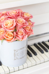 Similar image 20054740