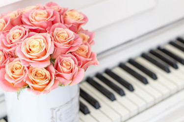 Similar image 20054741