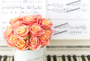 Similar image 20054744