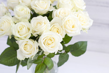 Similar image 20054751