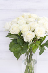 Similar image 20054755