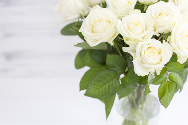 Similar image 20054758