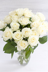 Similar image 20054759