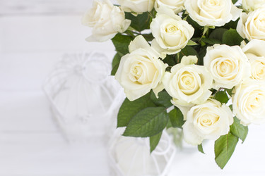 Similar image 20054765