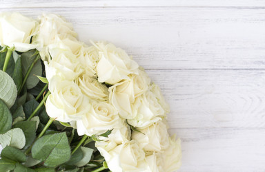 Similar image 20054769