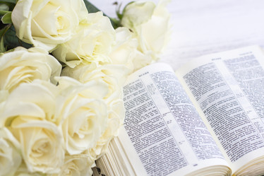 Similar image 20054779