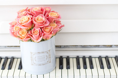 Similar image 20054781