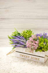 Similar image 20054801