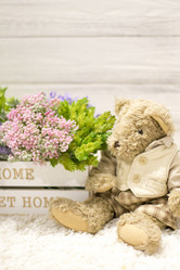 Similar image 20054813