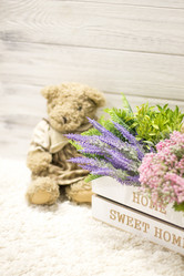 Similar image 20054815