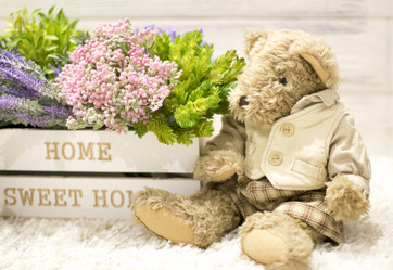 Similar image 20054823