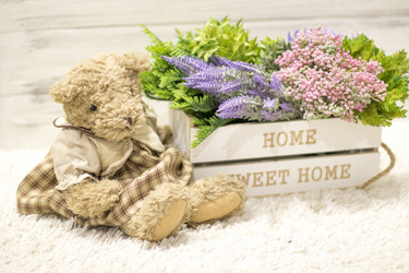 Similar image 20054824