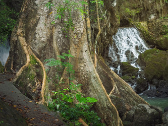 Similar image 19950560