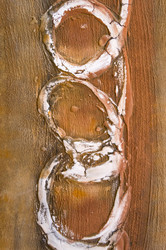 Similar image 20121544