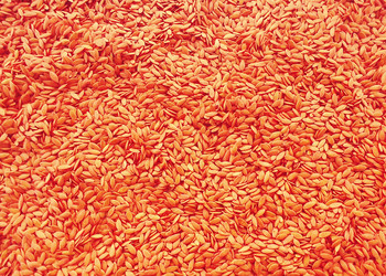 Similar image 19951066