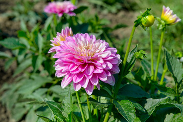 Similar image 19951127