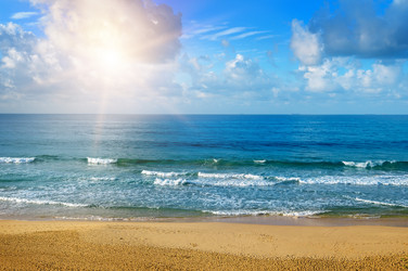 Similar image 19951168