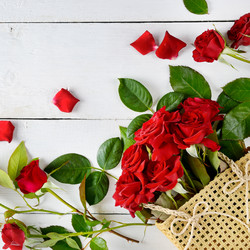 Similar image 19951179