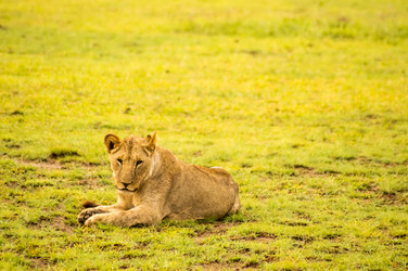 Similar image 20121476