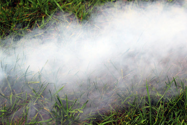 Similar image 19950576