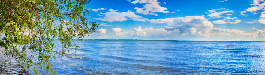 Similar image 20110131