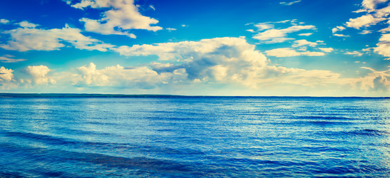 Similar image 20110133