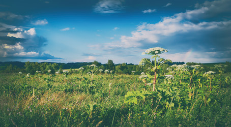 Similar image 20110140