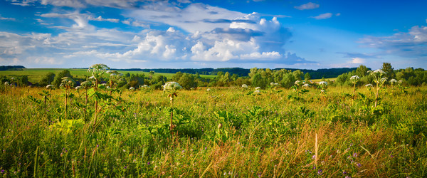 Similar image 20110149