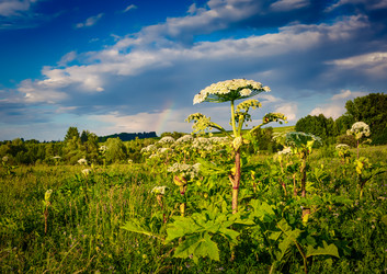 Similar image 20110152