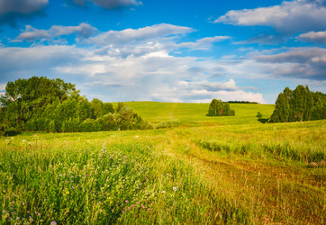 Similar image 20110172