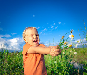 Similar image 20110175