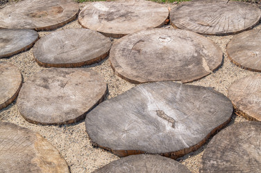 Similar image 19952928