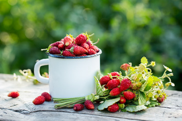 Similar image 20071800