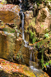 Similar image 19944329