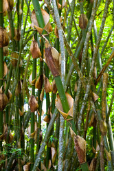 Similar image 19944334