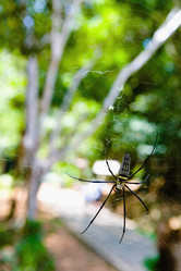 Similar image 19944335