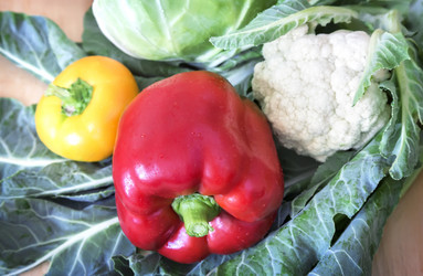 Similar image 20166460