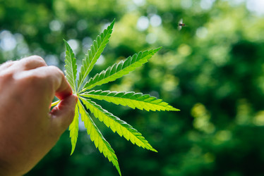 Similar image 20156776