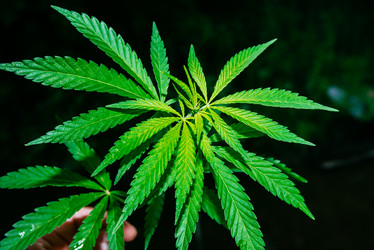 Similar image 20156777